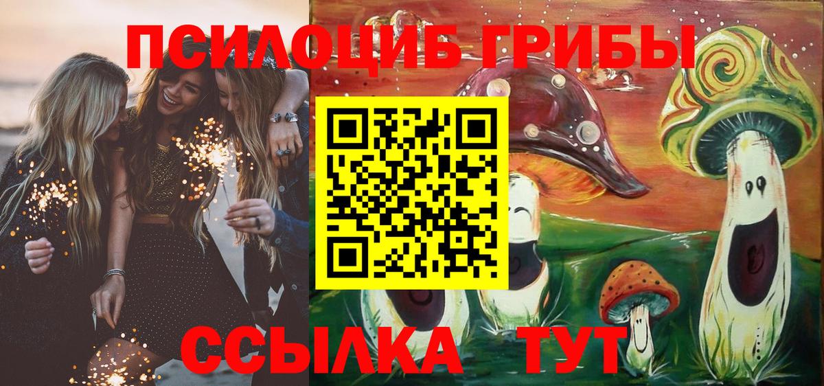 Псилоцибиновые грибы MAGIC MUSHROOMS Энгельс