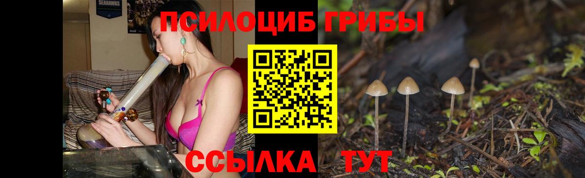Псилоцибиновые грибы Magic Shrooms  Вход с VPN  Энгельс 